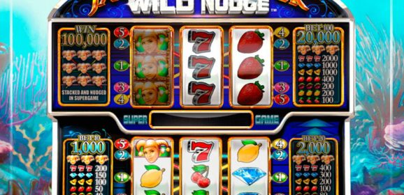 Can You Win Money Playing Online Pokies?